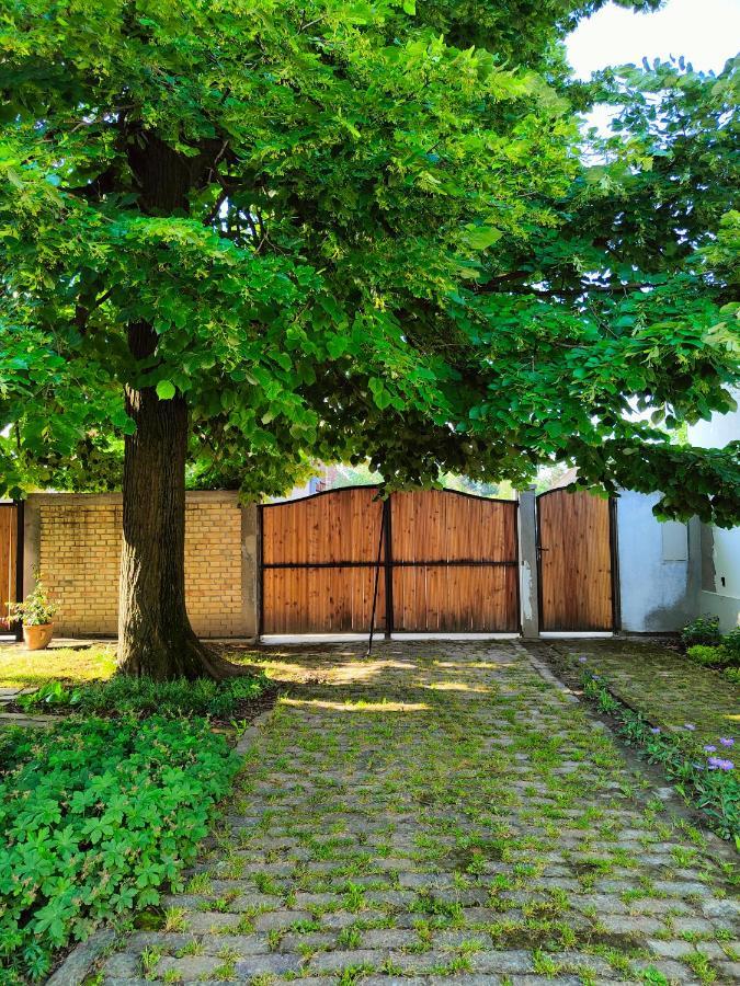 Bed and Breakfast Ethno&Coffee House Tulip Glozan Zewnętrze zdjęcie